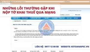 Những lỗi thường gặp khi nộp tờ khai thuế qua mạng-01