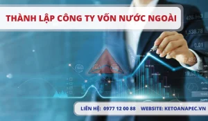 Thành Lập Công Ty Vốn Nước Ngoài 01-01