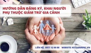Hướng dẫn đăng ký, khai người phụ thuộc giảm trừ gia cảnh 02-01