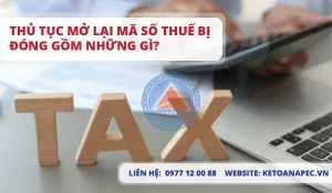 Thủ tục mở lại mã số thuế bị đóng gồm những gì?