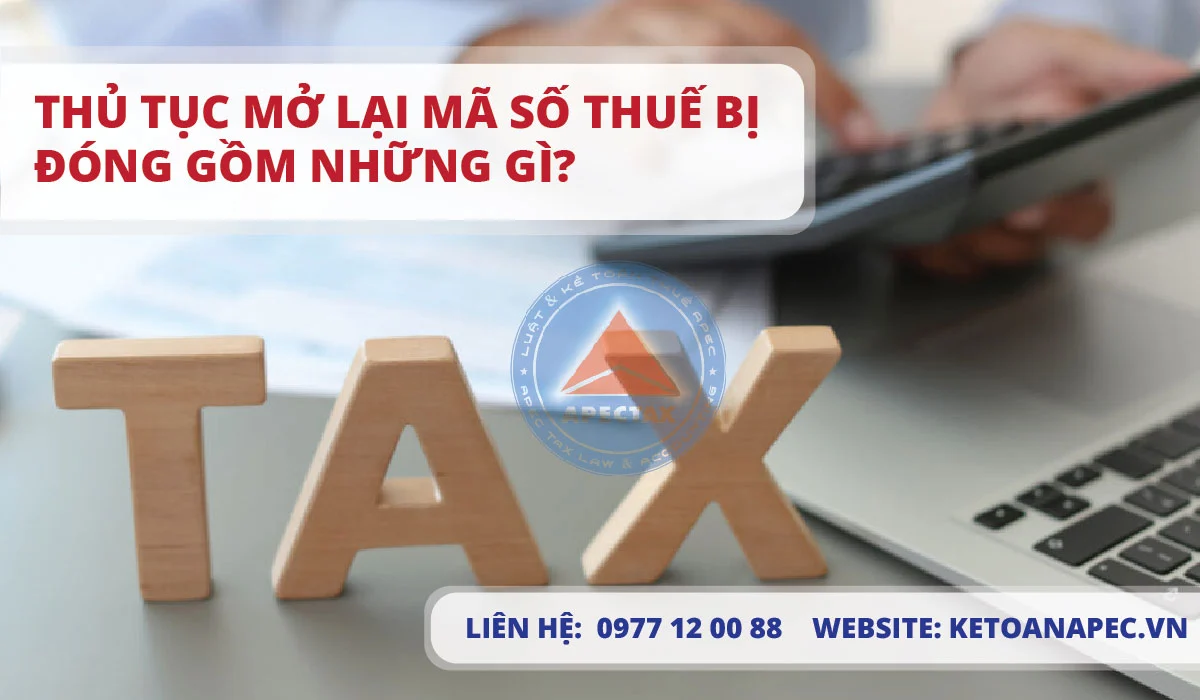 Thủ tục mở lại mã số thuế bị đóng gồm những gì?
