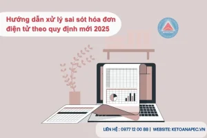 Hình ảnh hướng dẫn xử lý hóa đơn điện tử bị sai sót theo quy định mới nhất năm 2025