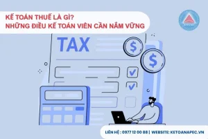 Hình ảnh kế toán viên nhập liệu kê khai thuế trên máy tính