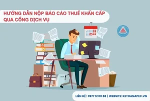 Hướng dẫn nộp báo cáo thuế khẩn cấp qua cổng dịch vụ