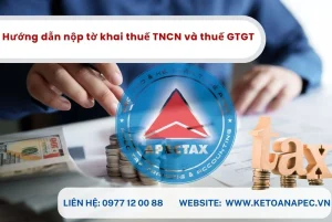 Hướng dẫn nộp tờ khai thuế TNCN và thuế GTGT từ ngày 01/7/2025