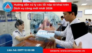xử lý các lỗi nộp tờ khai trên dịch vụ công