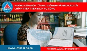 nộp Tờ khai 03/TNDN và Báo cáo tài chính